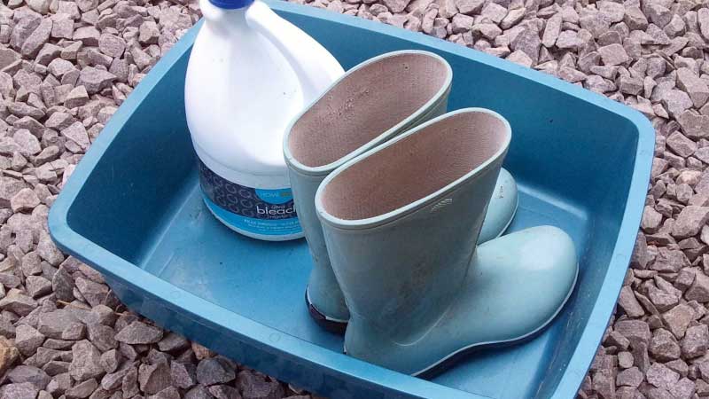 Biosecurity for Small Farms: Practical Steps on a Budget