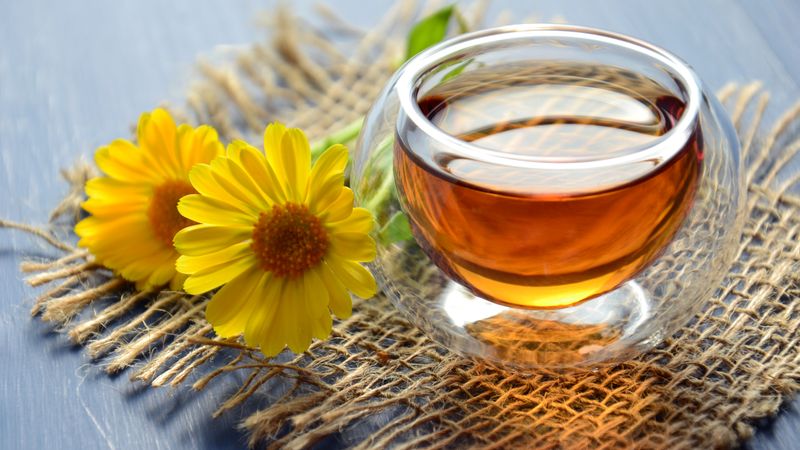8 Cheap Protein Alternatives to Soya Meal for Pig Feed