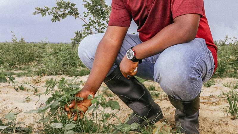 Building Real Farming Skills: What You Actually Need to Know