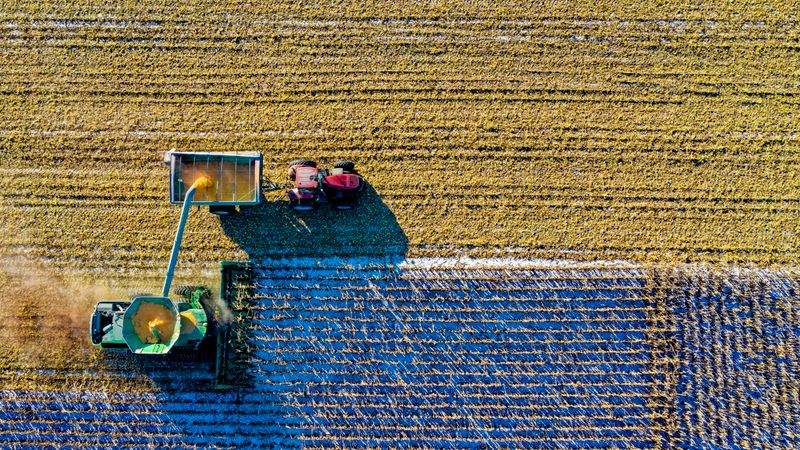 5 Mistakes Every New Pig Farmer Makes in Their First Year