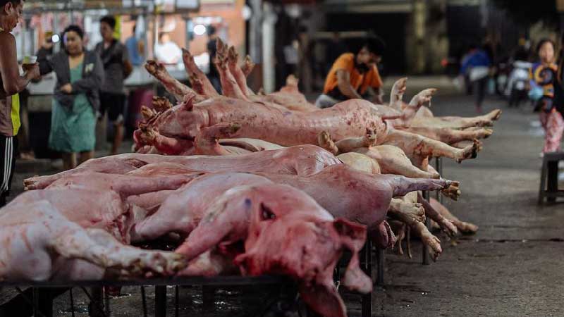How to Process and Sell Your Own Pork: Value Addition Guide
