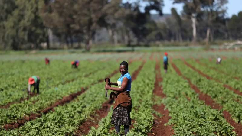 How to Choose a Reliable Farm Worker (and Keep Them)