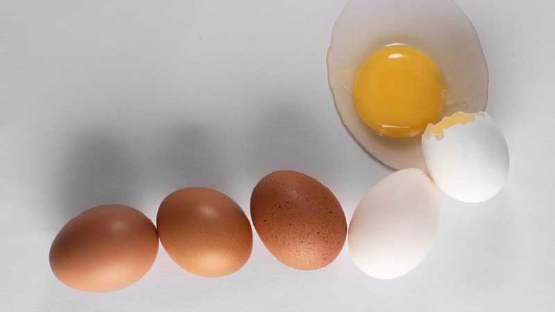 Water Quality and Its Impact on Egg Production